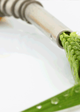 Biofuels And Chemicals