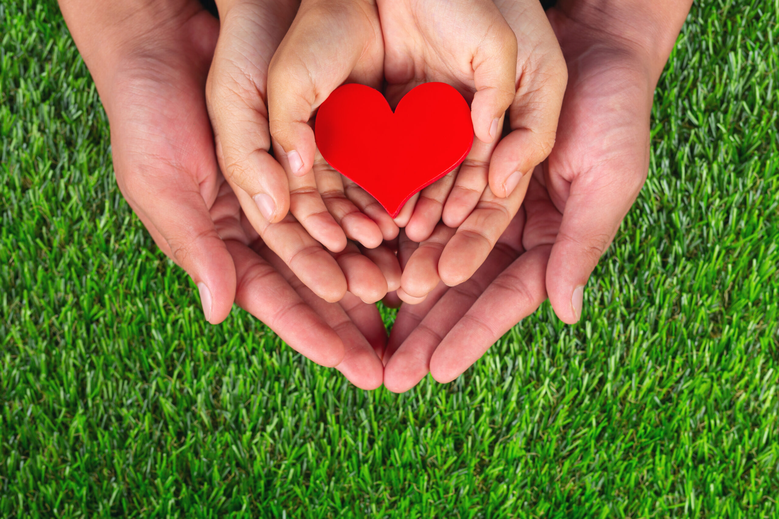 three pairs of hands holding a paper heart, green grass in the background
